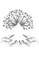 Curandero
